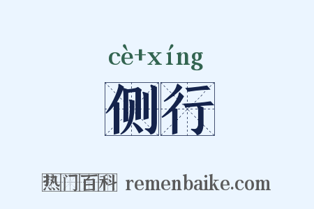 侧行是什么意思的图片